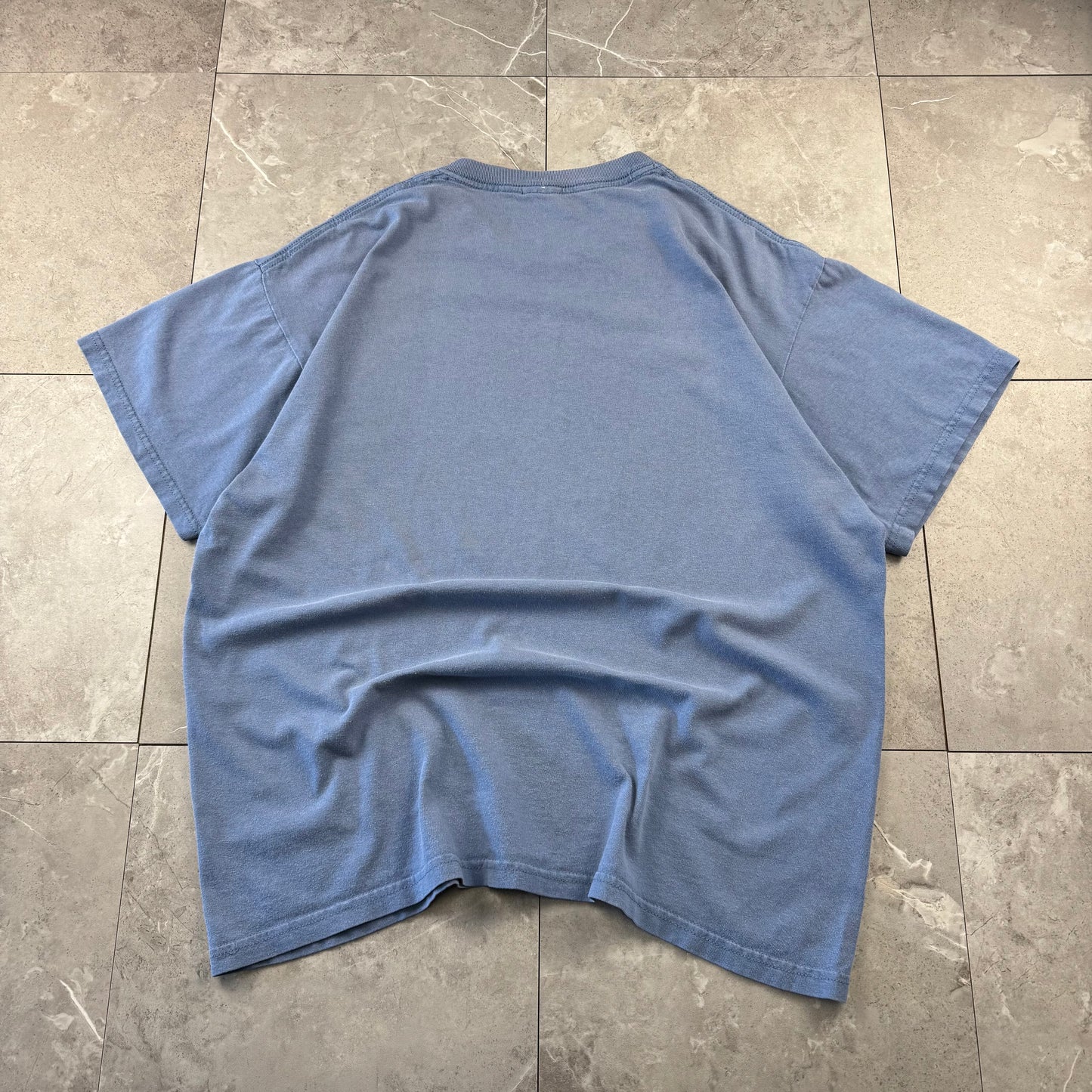 00s Oregon-Idaho Ouzel Blue Graphic T-Shirt