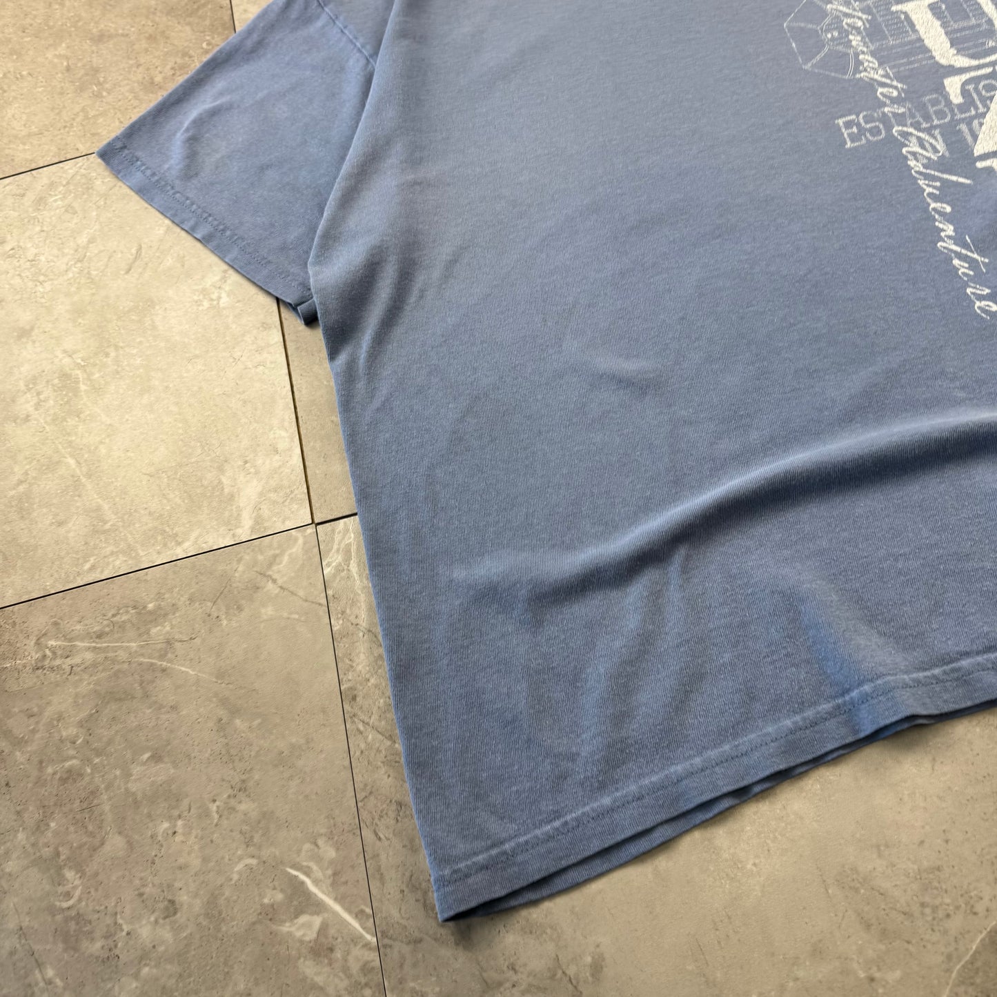 00s Oregon-Idaho Ouzel Blue Graphic T-Shirt