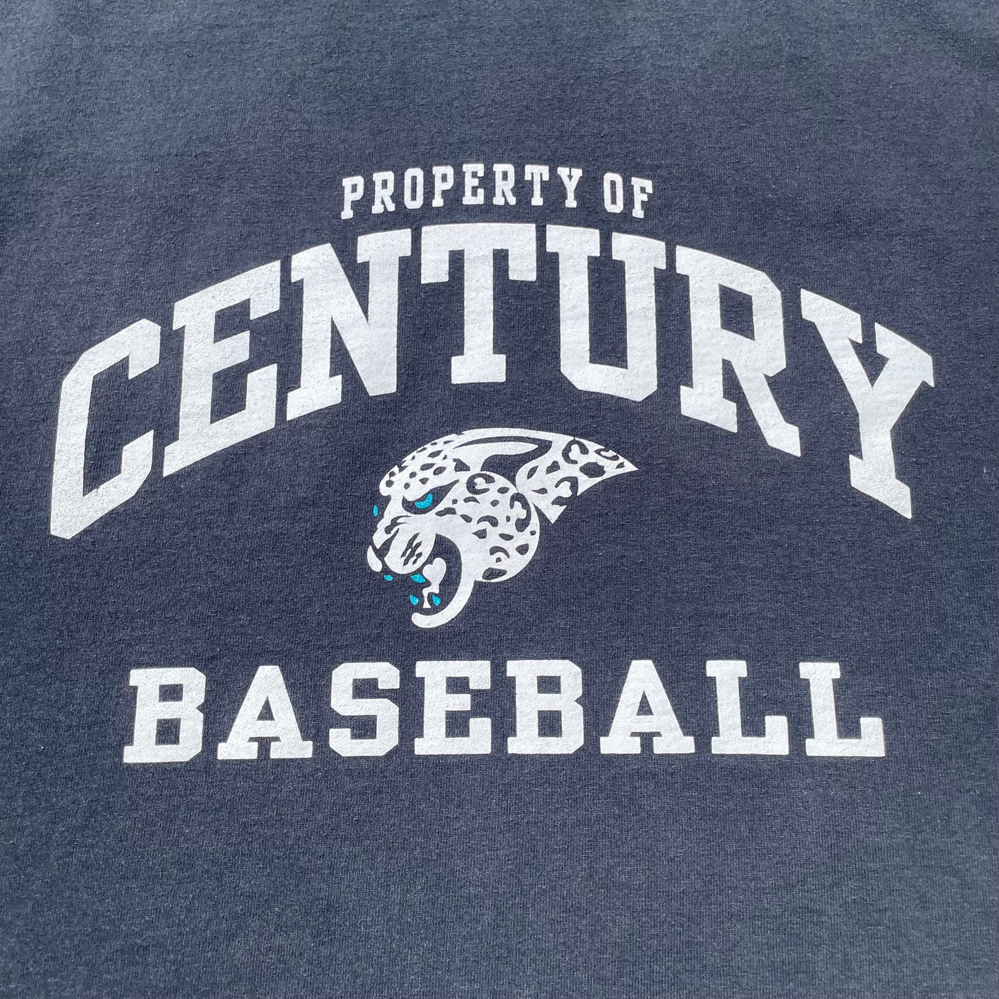 00s Hanes Century Baseball Heavyweight Graphic T-Shirt