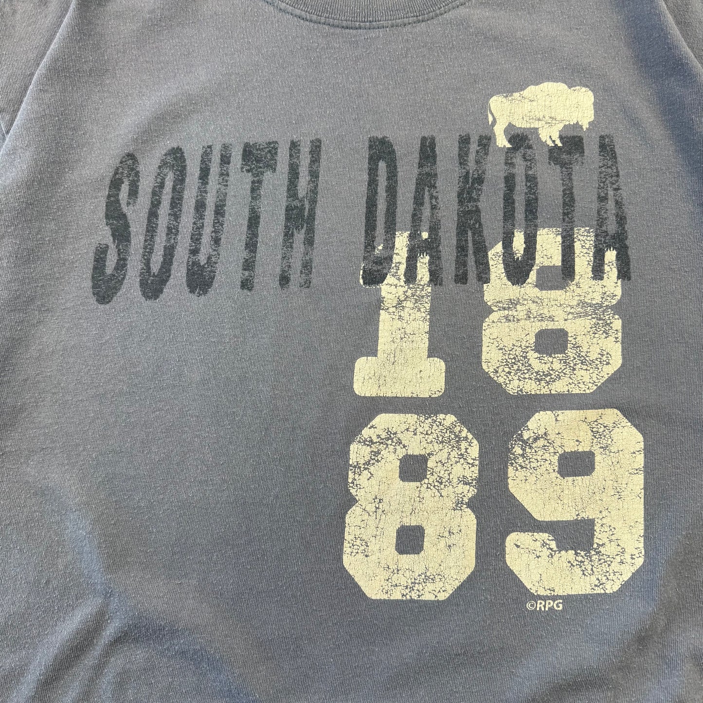 90s-00s Gildan South Dakota 1889 Faded Blue Graphic T-Shirt