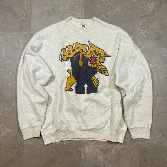 90s Fruit of the Loom University of Kentucky Made in USA Heavyweight Sweater